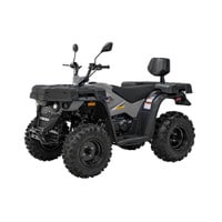 MSA 210